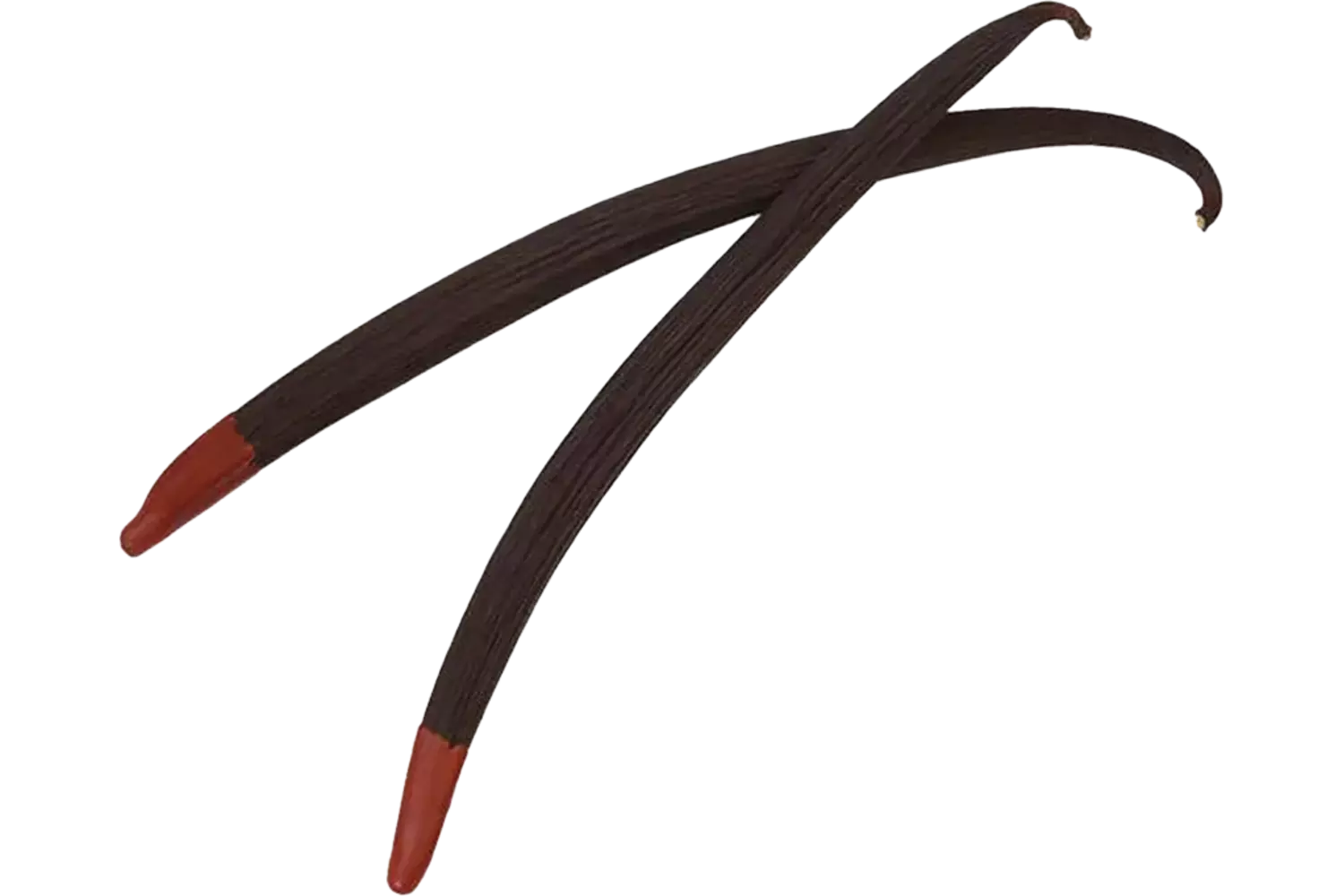 Vanillepeulen planifolia rood blik 6st stuk 1